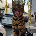 💎 MONEY FOR GIRLS 💎 Discord server icon