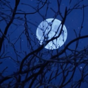 Life is Strange | RP Discord server icon