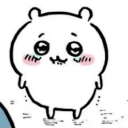 𓏴𓈒ׄ 　　⚞ ᩧ　　/chiikawa Discord server icon