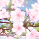 bouquet⋆ ˚｡⋆౨ৎ˚ Discord server icon
