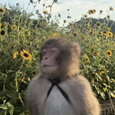 Jil Jung Juk Discord server icon