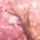 🌸⋆ 𝐵𝓁𝑜𝑜𝓂𝒾𝓃𝑔 𝑅𝑒𝓋𝑒𝓇𝒾𝑒𝓈 ⋆🌸
