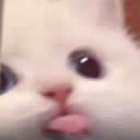 Luggar Land Discord server icon