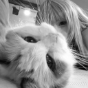 /lift Discord server icon