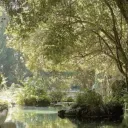 Garden Of Eden