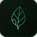 Moku