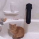 𝔅𝔯𝔦𝔞'𝔰 𝔤𝔬𝔬𝔫 𝔠𝔬𝔪𝔪𝔲𝔫𝔦𝔱𝔶 Discord server icon