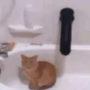 𝔅𝔯𝔦𝔞'𝔰 𝔤𝔬𝔬𝔫 𝔠𝔬𝔪𝔪𝔲𝔫𝔦𝔱𝔶 discord icon