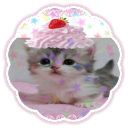 ⊹₊  ⟡  ⋆      𝘮𝘦𝘰𝘸𝘴𝘪𝘦𝘴𝘴 .ᐟ  ࣪ ࿐ Discord server icon