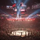 MAO—Бои (Роле плей)