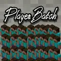 PlayerBatch