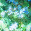 ⊱  ۫ ׅ junebugs ࿔ `` ≽༏≼ Discord server icon