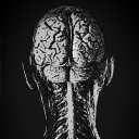 ⎯⎯  𝘛𝘏𝘌 𝘗𝘚𝘠𝘊𝘏𝘖𝘓𝘖𝘎𝘠 𝘖𝘍 𝘓𝘈𝘛𝘏𝘌 👁