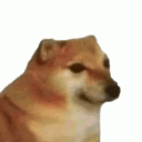 ノへ￣、  cheems station -_◠ ◠ Discord server icon