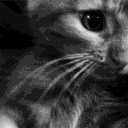 pierce the veil Discord server icon