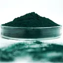 World Of Algae