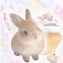 Bunicake 🐰🍰