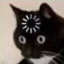 the barely functioning society Discord server icon