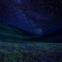 Indigenous Sanctuary Discord server icon