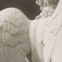 ִֶָ. ..𓂃 ࣪ ִֶָ🪽་༘࿐ 「 18+」 Discord server icon