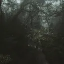 Oregon hookup discord icon