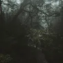 Oregon hookup discord icon