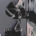 Phoenix Labs . co