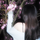 Cherry Blossoms ⧽ Wholesome ᛝ Sweet ⟢ LGBTQ+ ┊: Safe-Space Discord server icon