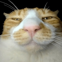 2sleepy