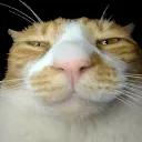 2sleepy