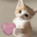 Lovedache