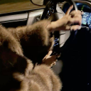 Novita Discord server icon