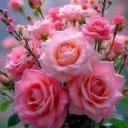 Crimson's Dungeon ;3 discord icon