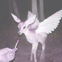 heavenlys looking †࣪ ִֶָ☁.࣪ Discord server icon