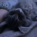 Mew!!