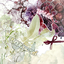 °.✧𝒲𝒾𝓉𝒽𝑒𝓇𝑒𝒹 & 𝒲𝒾𝓁𝒹✧˖°