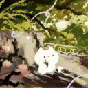 ✦ purrnova ~ !!