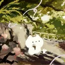 ✦ purrnova ~ !!
