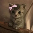 Quinn’s Server Discord server icon