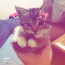 Cleos Marketplace | Trading Hub Discord server icon