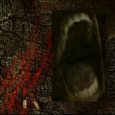 Follow the voice. Discord server icon