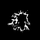 /szn Discord server icon