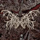 Server icon for Xoloheinx's Escape