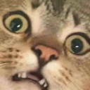 /𝓅𝒶𝓌𝓈𝓎 ໒꒱☆ Discord server icon