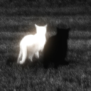 the heavenly horizon Discord server icon