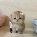 The Sweetest Server Discord server icon