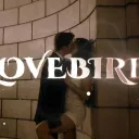 LoveBird ♡ | Social • Chilling • Dating • Gifts • Events . 𝜗ৎ discord icon