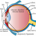 my secret projects (๑>؂•̀๑) Discord server icon