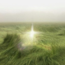 ⋆. 𐙚 ˚StarInGrassValley ༘࿐ Discord server icon