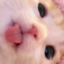 . bwa ✦ (mini server) Discord server icon